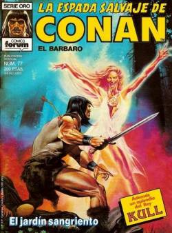 Portada Espada Salvaje De Conan Volumen I # 077
