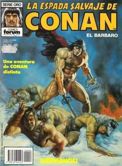 Portada Espada Salvaje De Conan Volumen I # 096