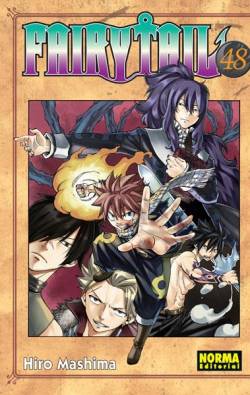 Portada Fairy Tail Nº48