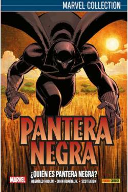 Portada Pantera Negra De Hudlin ¿Quien Es Pantera Negra? 1