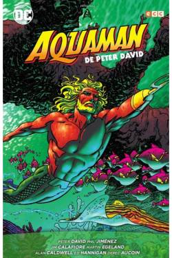 Portada Aquaman De Peter David 2
