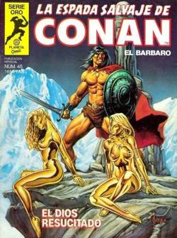 Portada Espada Salvaje De Conan Volumen I # 045